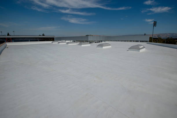 Best Steel Roofing  in Ladson, SC