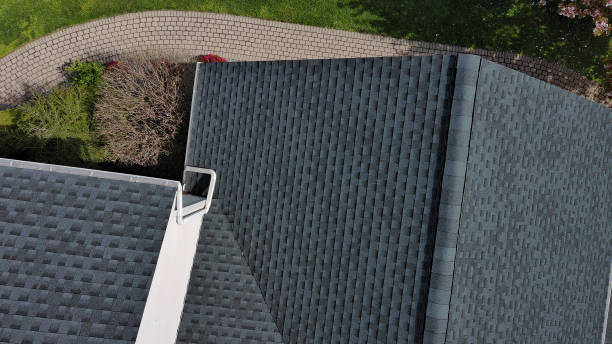 Best Chimney Flashing Repair  in Ladson, SC